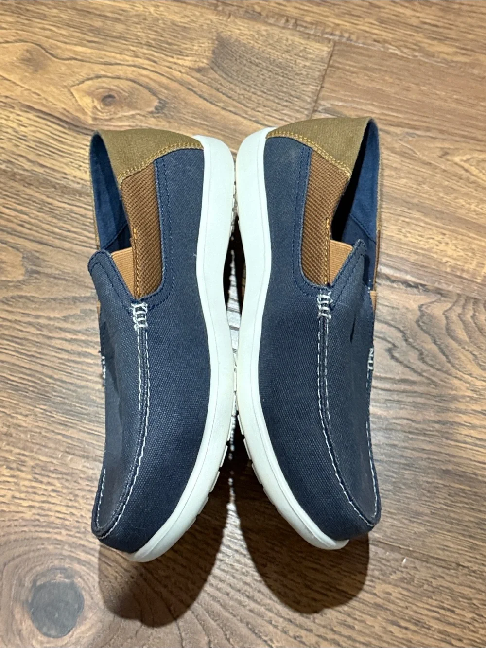 CROCS santa cruz